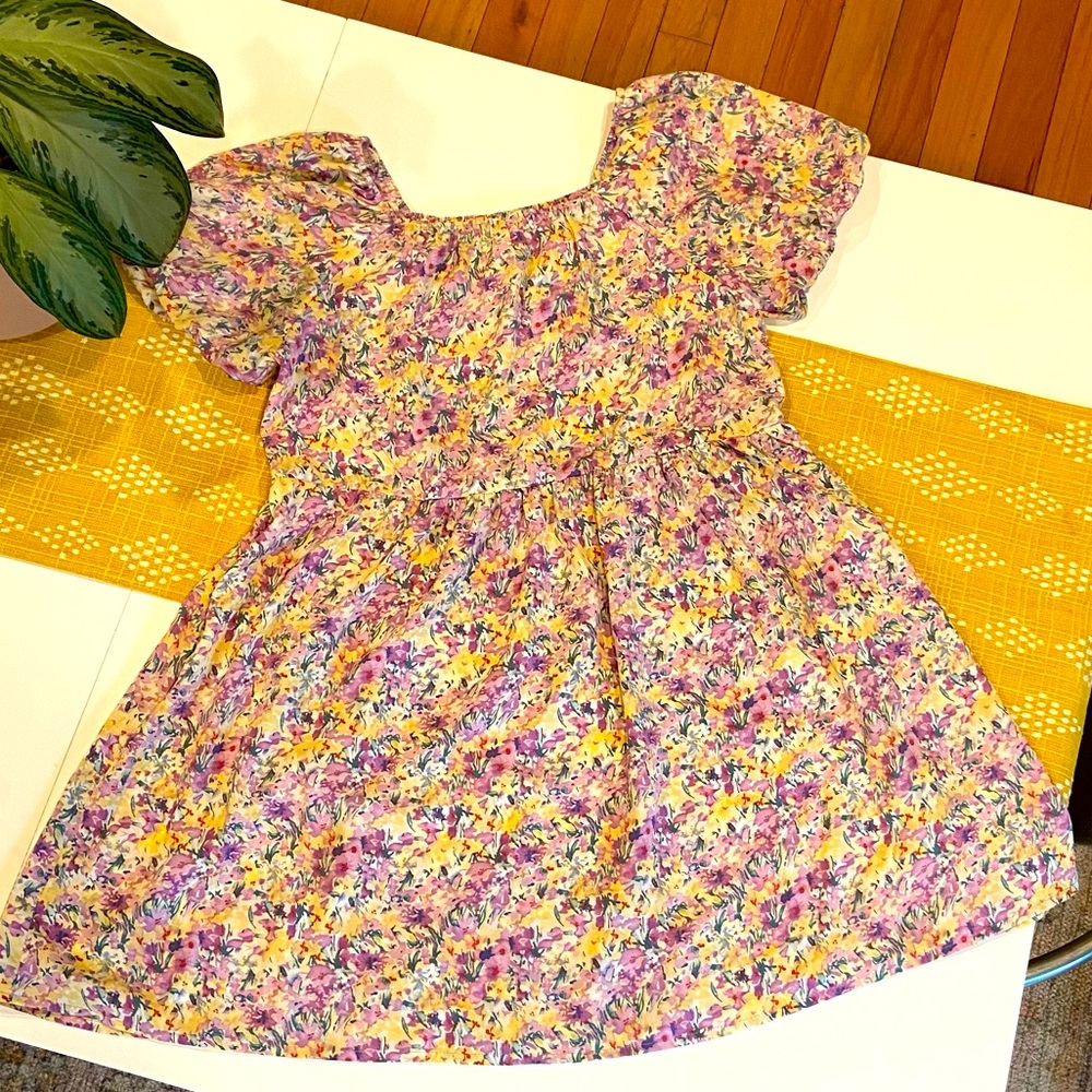NWT Hayden brand little girls dress
